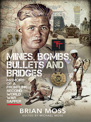 cover image of Mines, Bombs, Bullets and Bridges